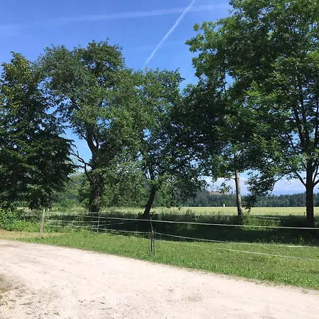 Skorianzhof 3*