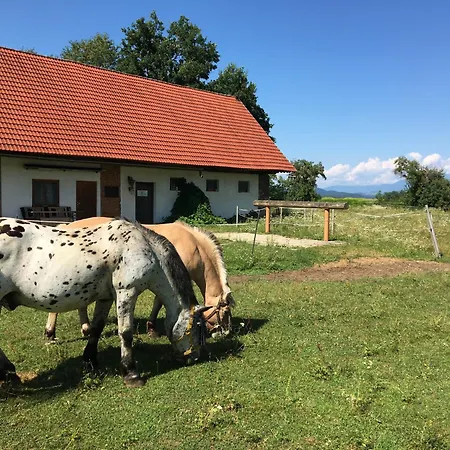 Vendégház Skorianzhof 3*